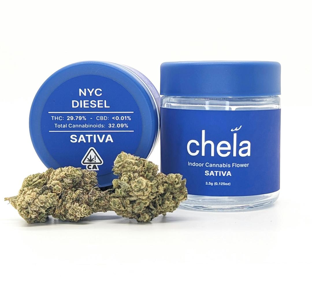 Chela - Indoor - NYC Diesel