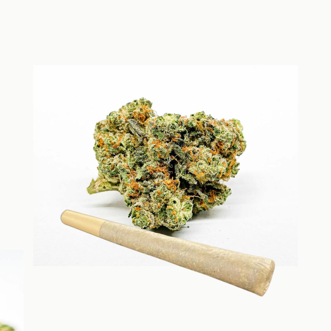 Bad N Boujee 1g Pre-roll