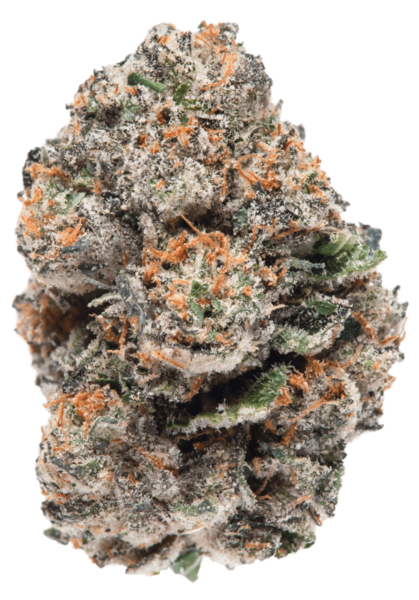 Gushers - Indoor