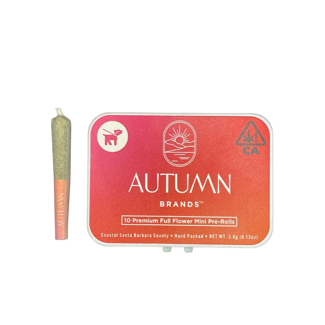 GMOG 10pk Mini Prerolls
