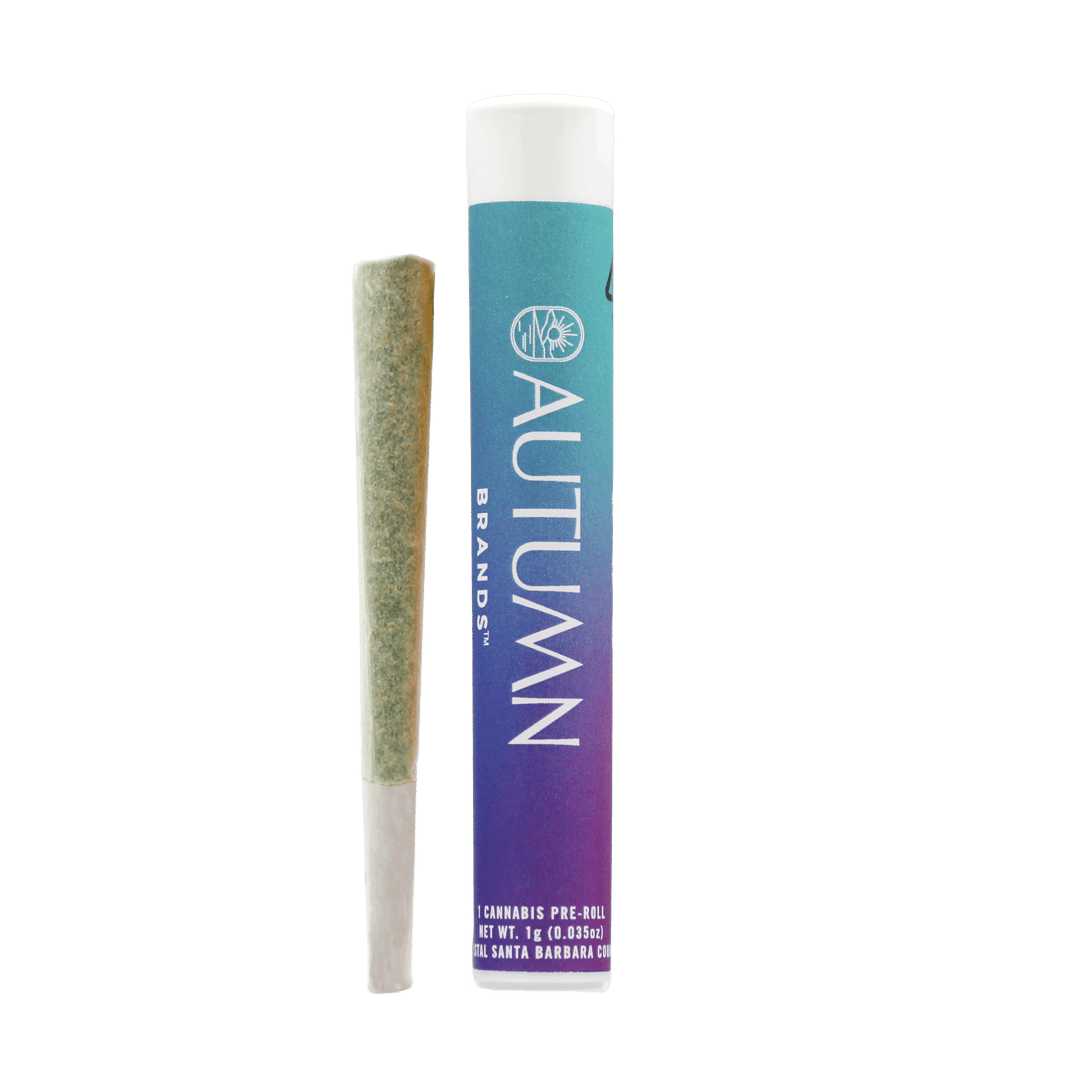 Rainbow Diesel 1g Preroll