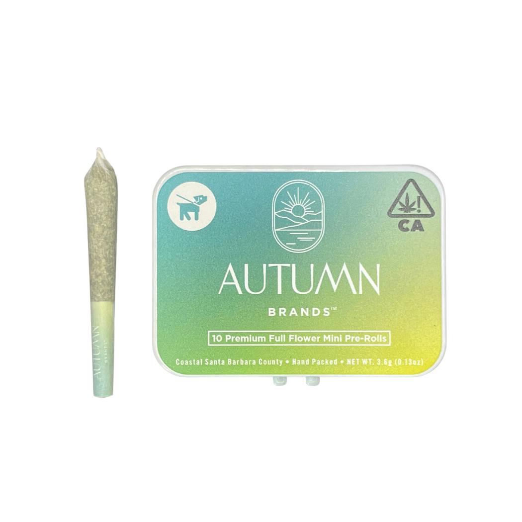 Jet Fuel Gelato 10pk Mini Prerolls