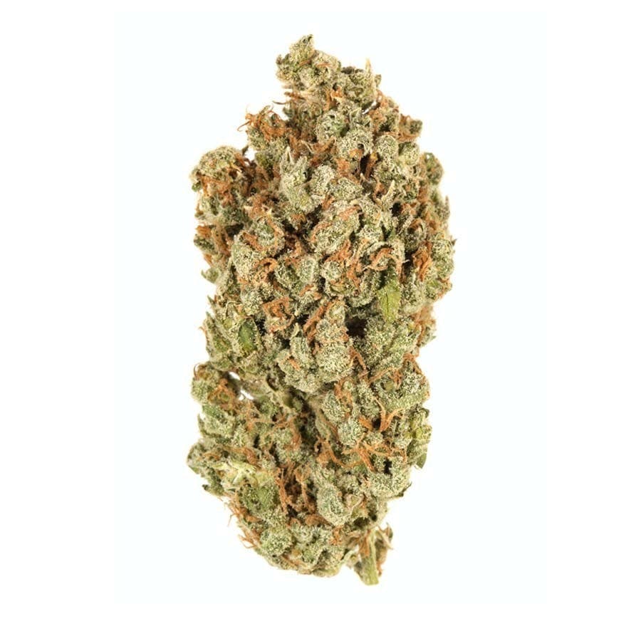Bay Life - SJ Cookies