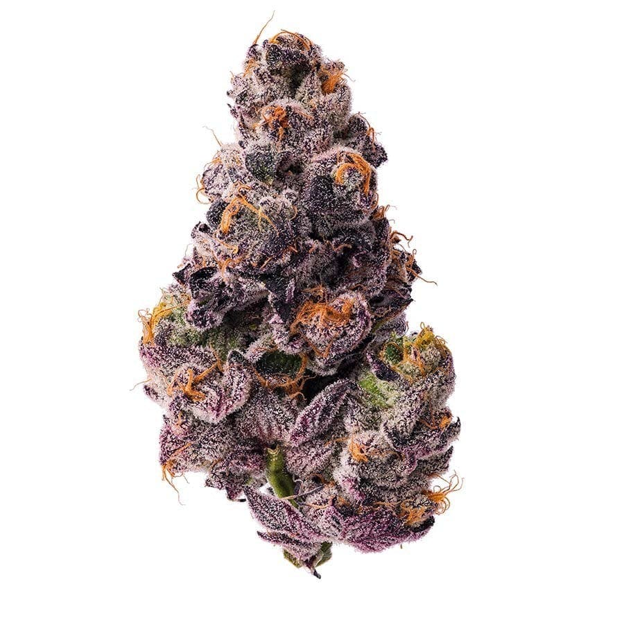 Blue Chip - Slurty #33