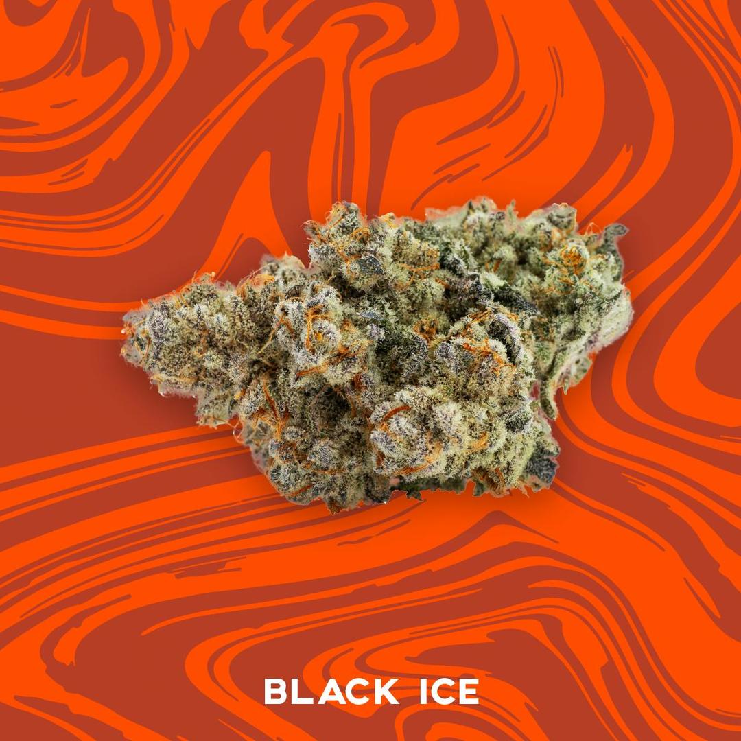 Vivid - Black Ice