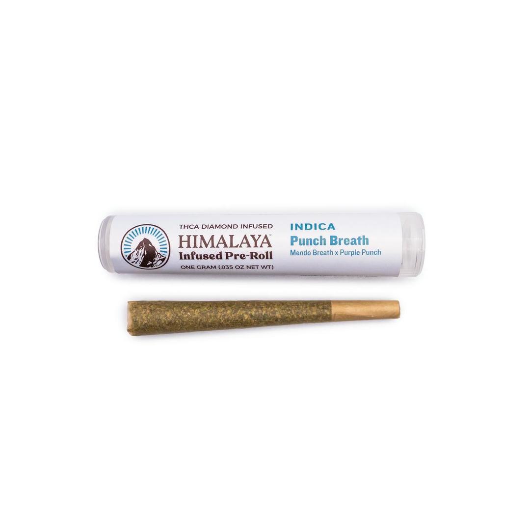 Punch Breath - Infused Pre-Roll - 1G