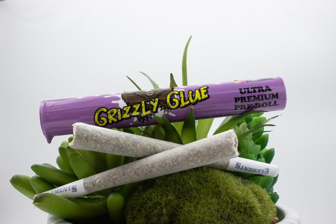 Grizzly Glue - 1g Premium Pre-Roll