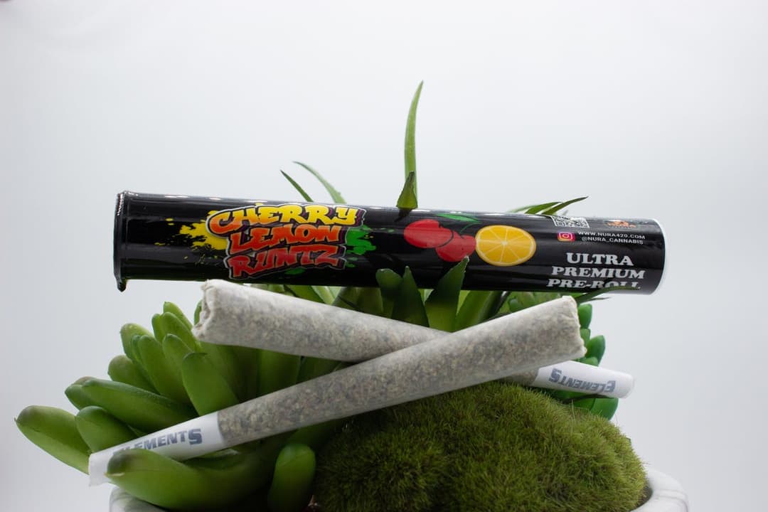 Sherb Cake - 1g Premium Pre-Roll