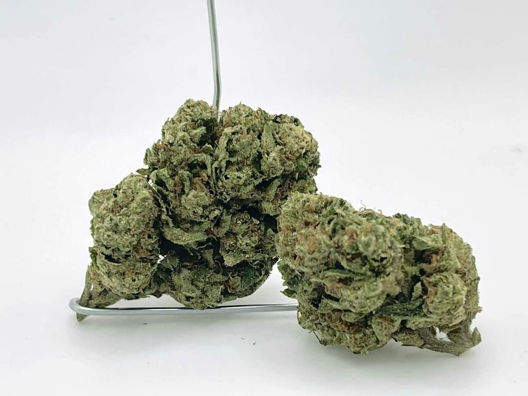 Slurricane 8th/3.5Grams(28%THC,INDICA)