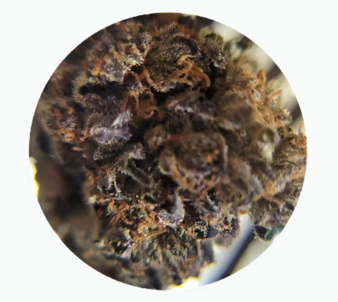 Oreoz