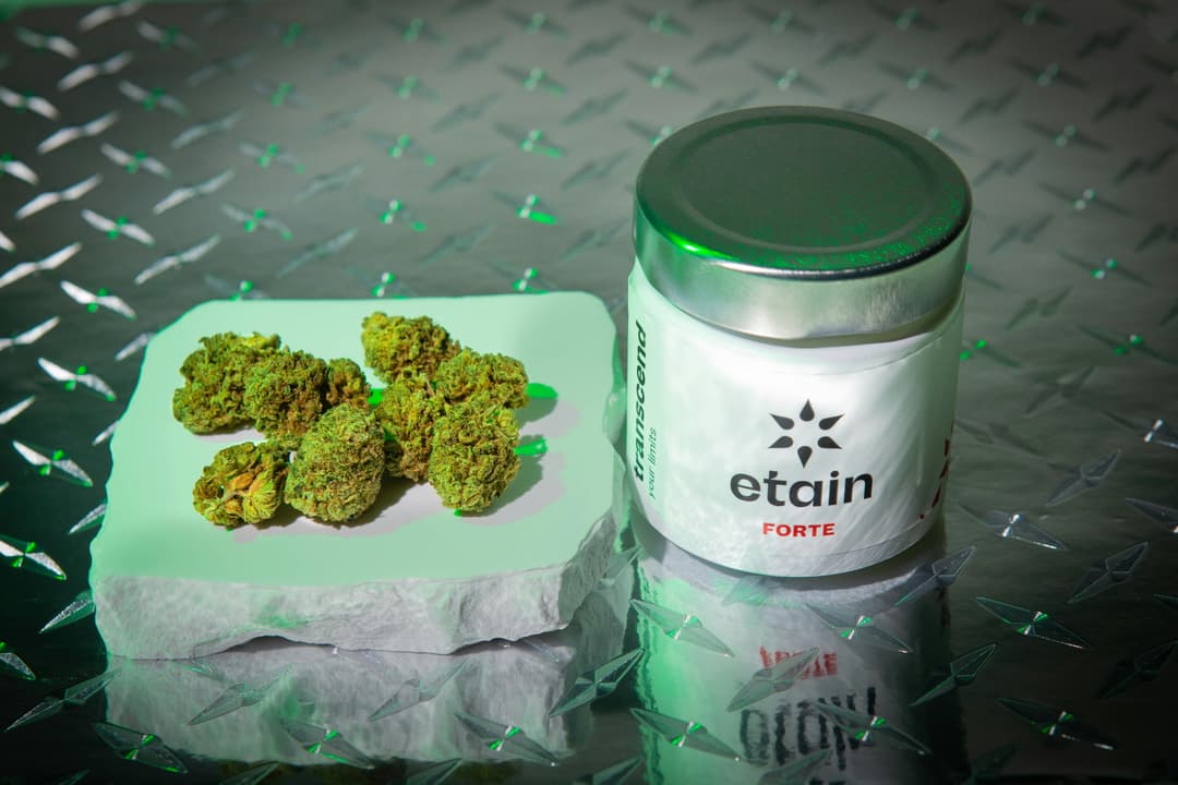 Forte Whole Flower - Bruce Banner (BB)