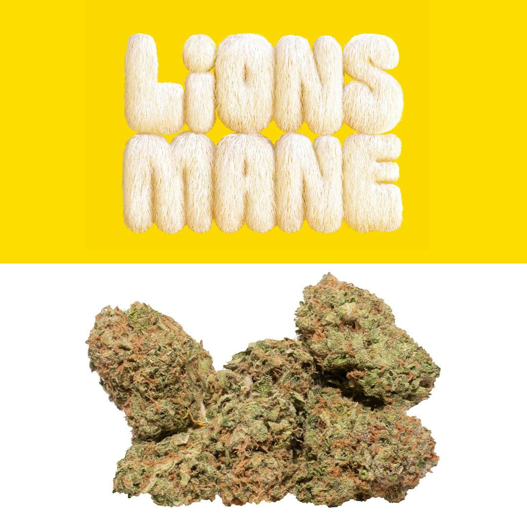 Lions Mane