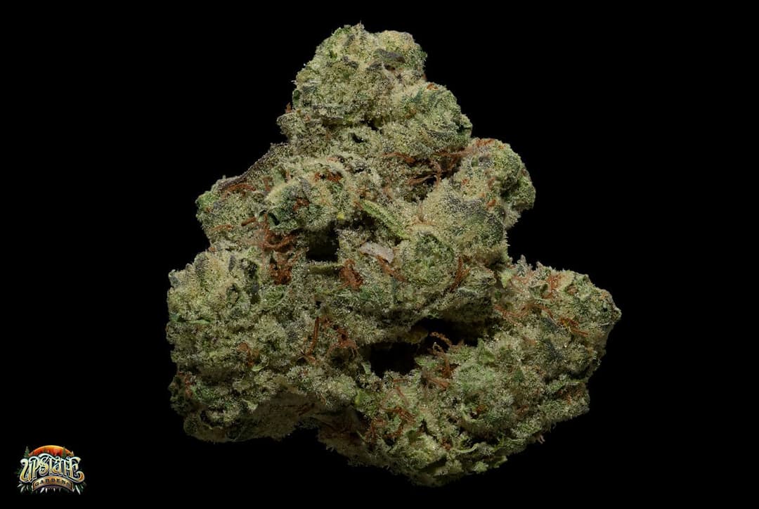 Flower: 1g - Headdog X ISE