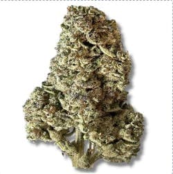 Eighthz - Top Gun (H) - 3.5g