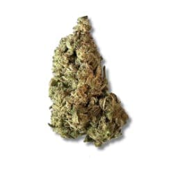 Black - GMO (H) - 3.5g