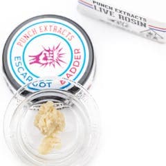Punch - Live Rosin - Escargot - Badder - Tier 3