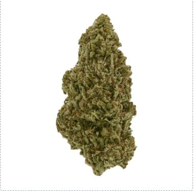 Black - Blue Dynamite (I/H) - 14g