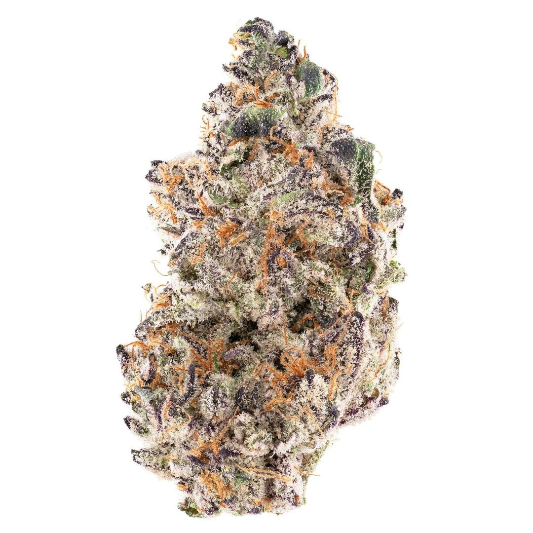 Raspberry Gelato Flower 14g