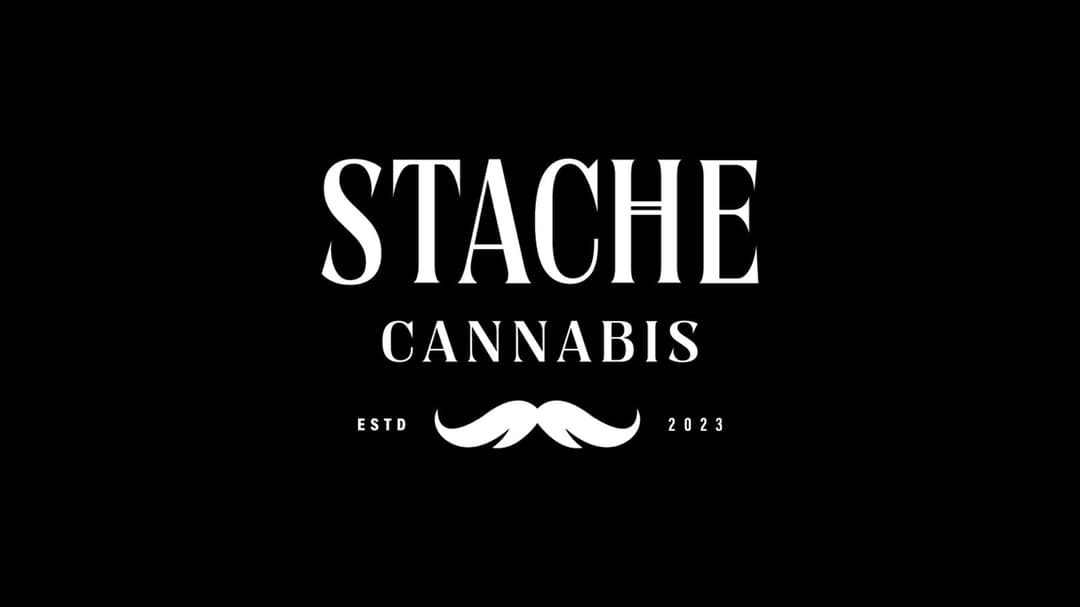 Stache logo