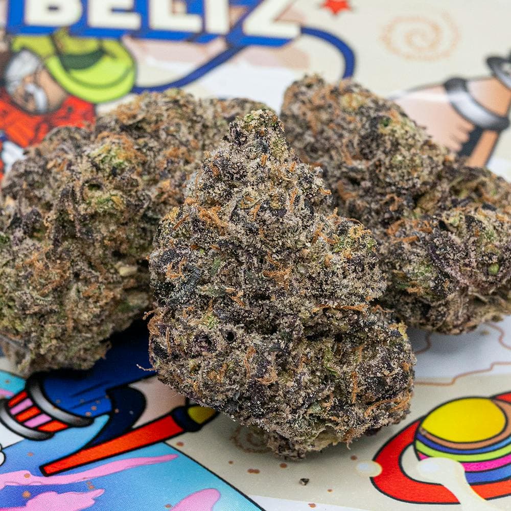 Milky Beltz