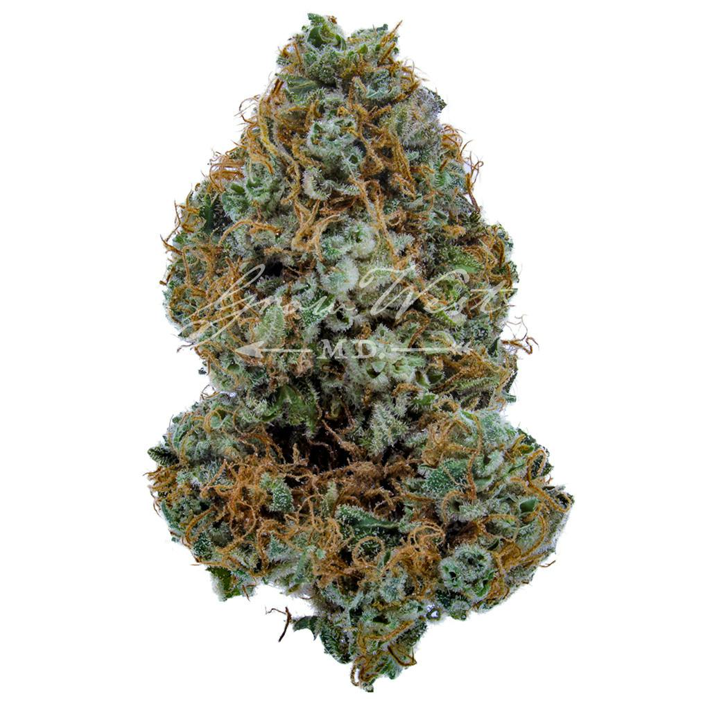 Cambodian Thai x BOEL Skunk | Gold | Trimmed | 3.5g