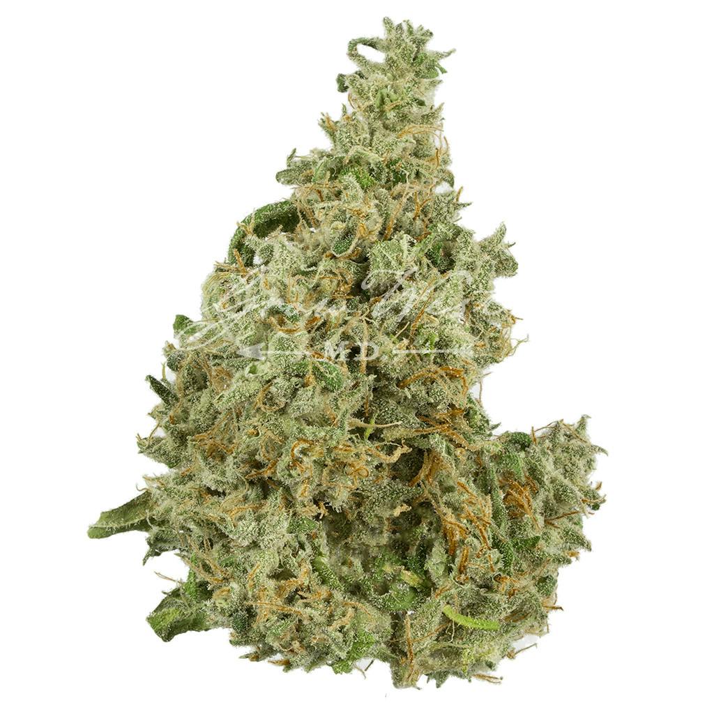 Cherry AK-47 | Premium | Hand-Trimmed | 3.5g