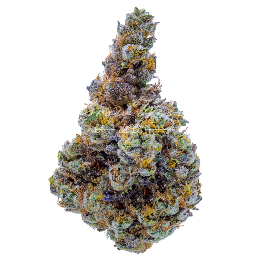 Forum Cookies x Aliendawg Cherry | Gold | Trimmed | 3.5g