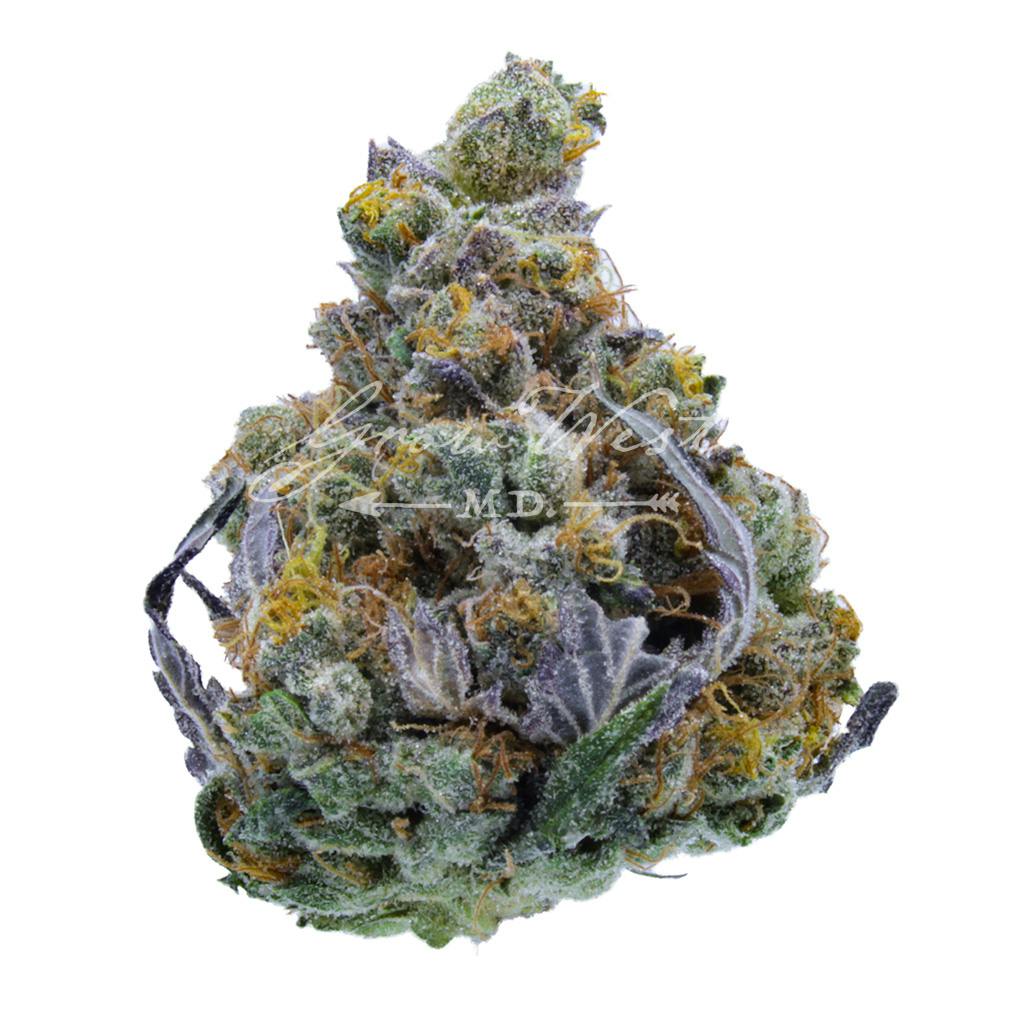 Forum Cookies x Aliendawg Cherry | Silver | Untrimmed | 3.5g