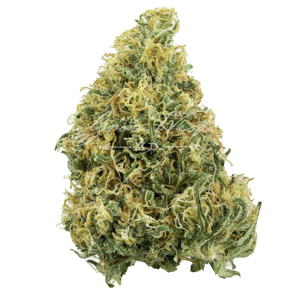 Lambsbread | Gold | Trimmed | 3.5g