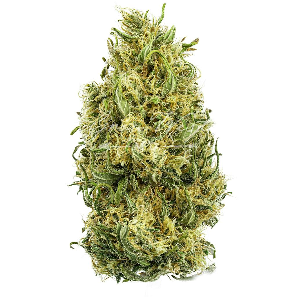 Lambsbread | Silver | Untrimmed | 3.5g