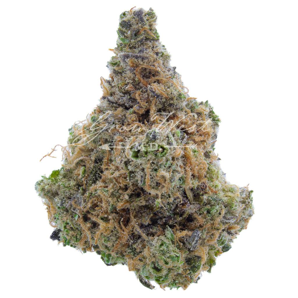 Nurse Jackie | Gold | Trimmed | 3.5g