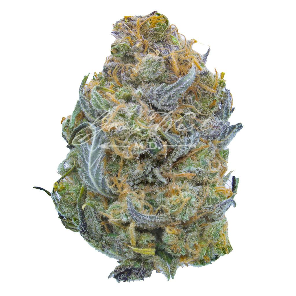 Nurse Jackie | Silver | Untrimmed | 3.5g
