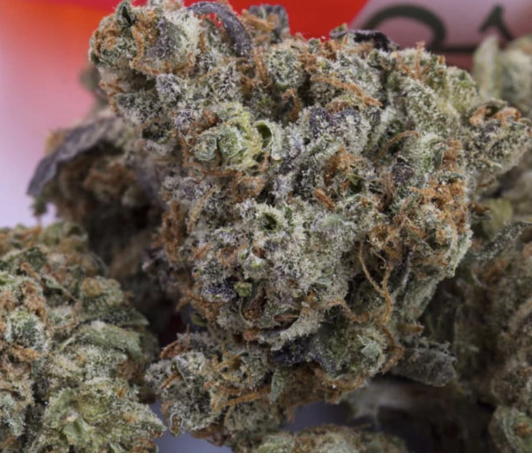 Romeo + Juliet - Hybrid - 31% THC