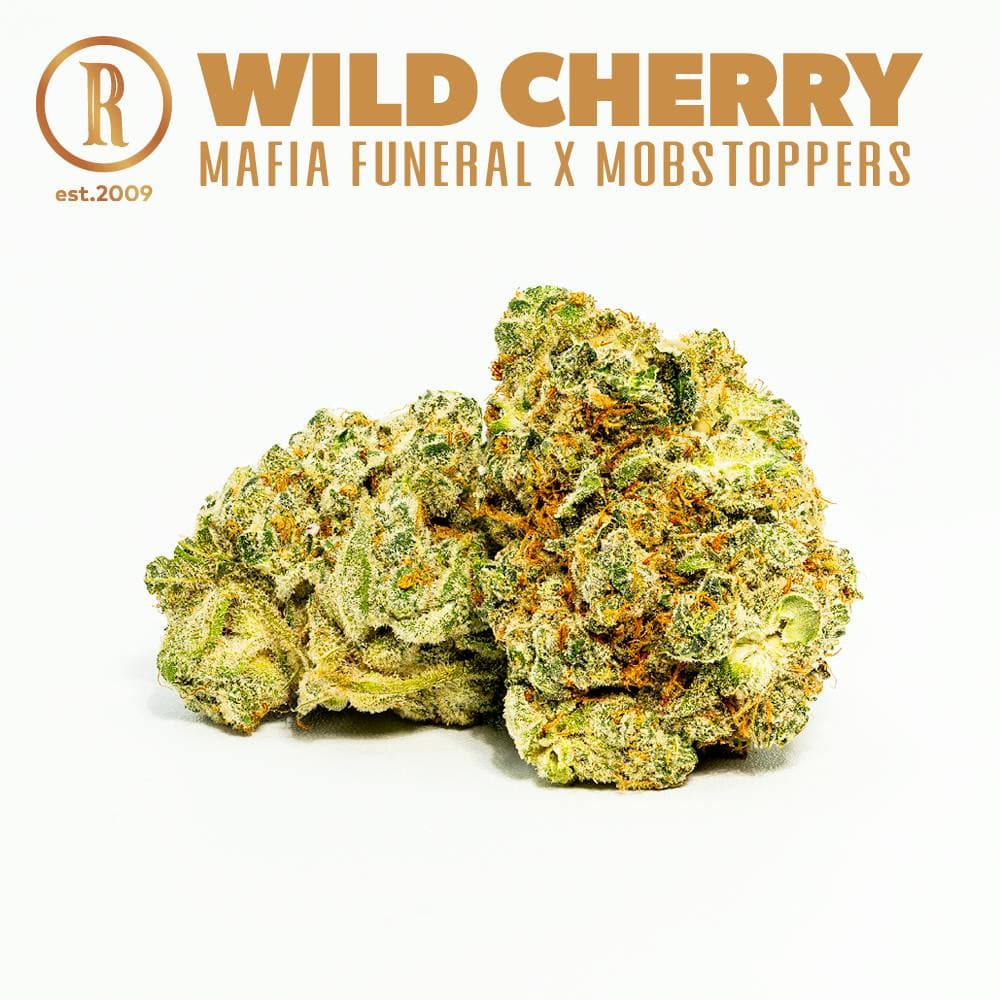 Wild Cherry Flower