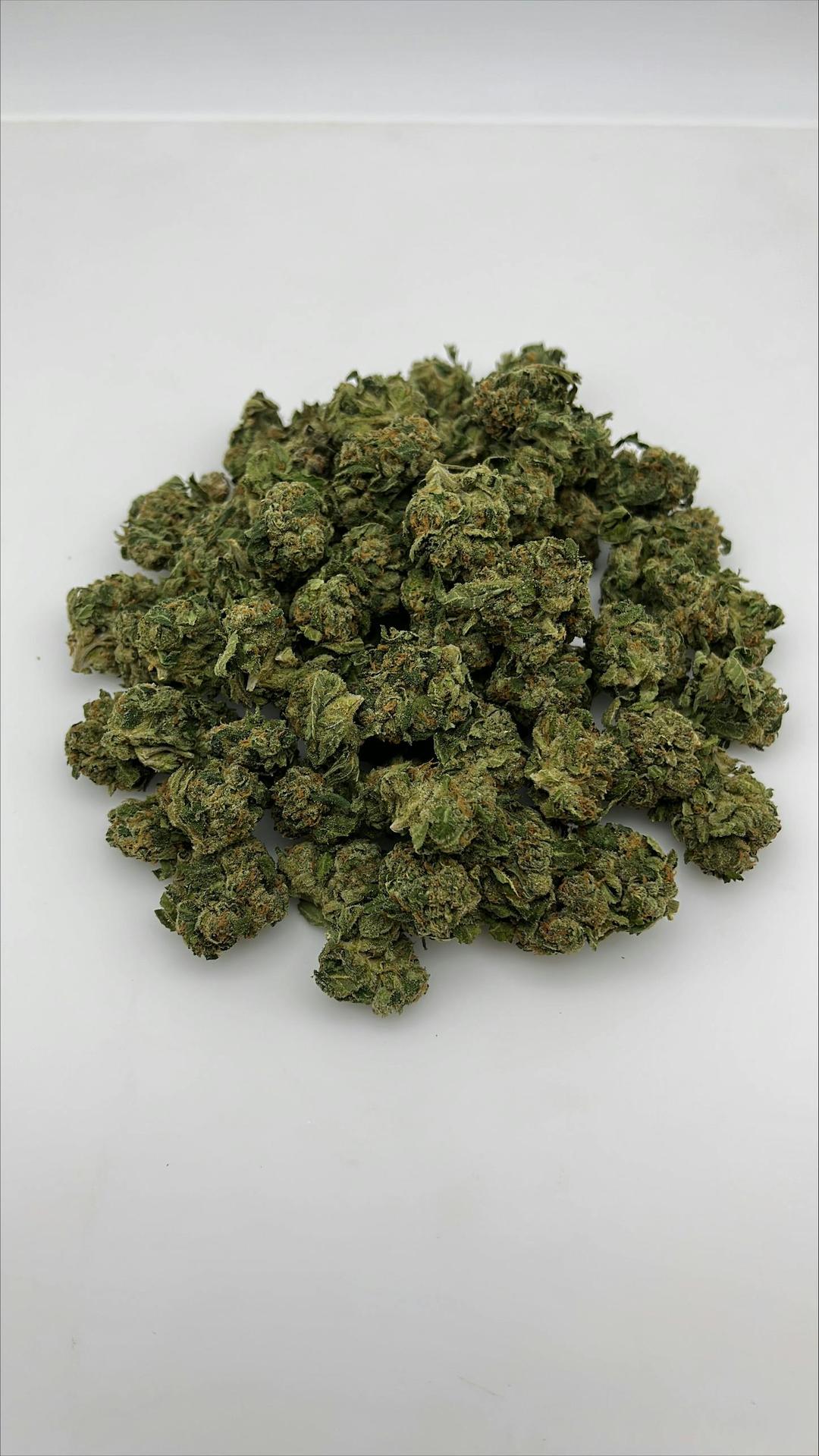 Dime Bag | Molten Lava Hybrid (14g)