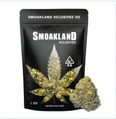Exclusive - Ice Cream Cake (I) - 28g