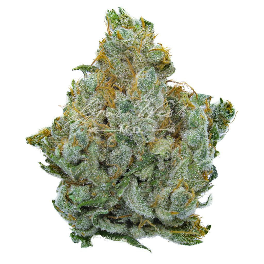 Miami Heat | Silver | Untrimmed | 3.5g