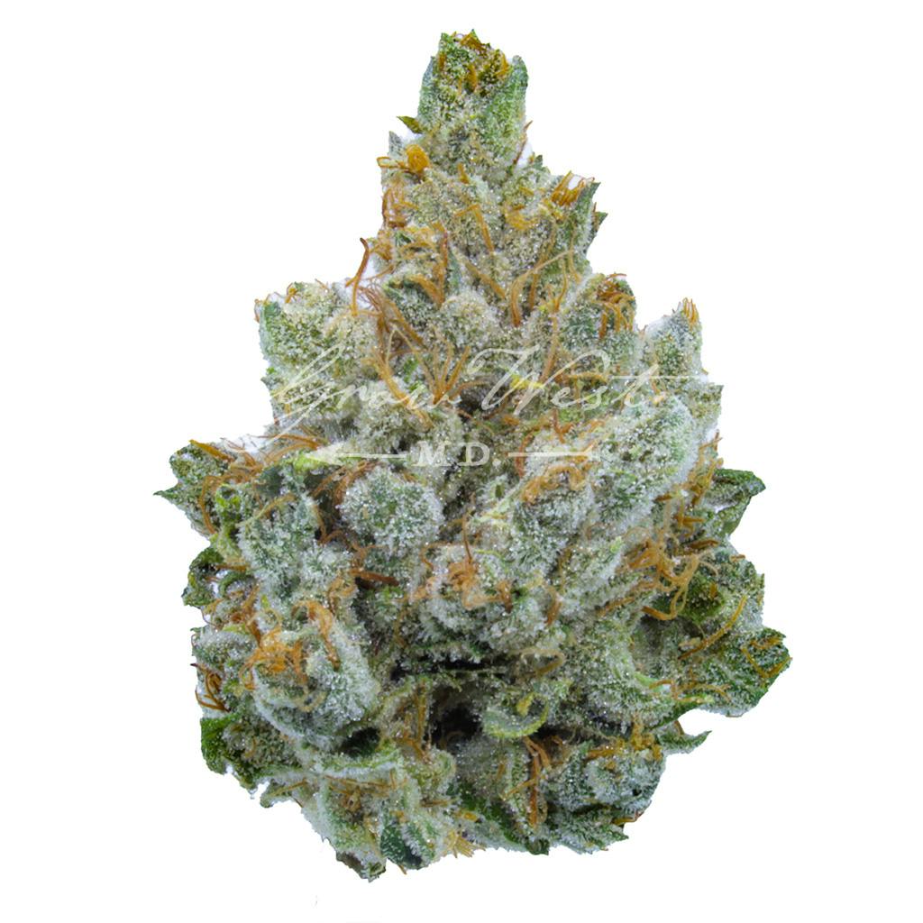 Miami Heat | Gold | Trimmed | 3.5g