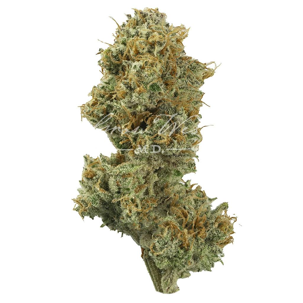 Mile High Volcano | Gold | Trimmed | 3.5g