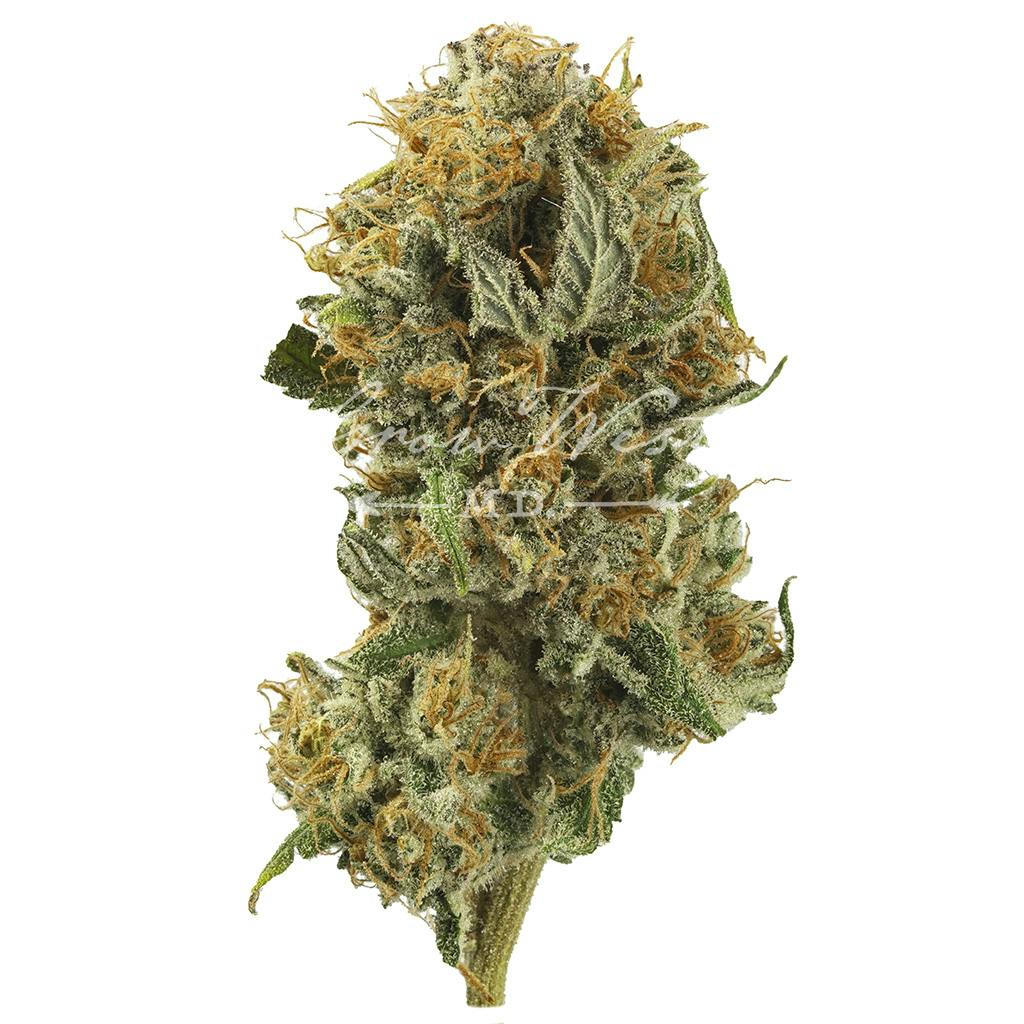 Mile High Volcano | Silver | Untrimmed | 3.5g