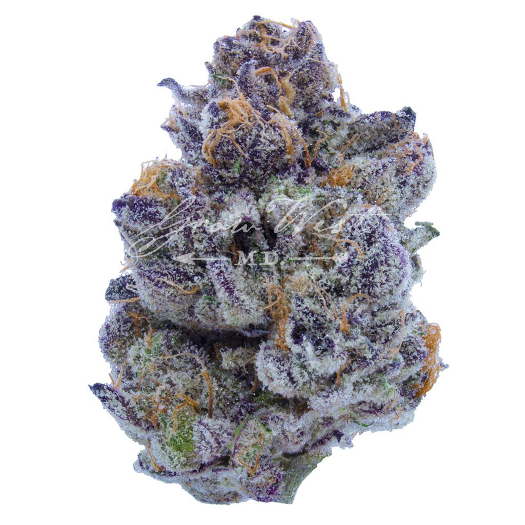 Pie Crust | Gold | Trimmed | 3.5g