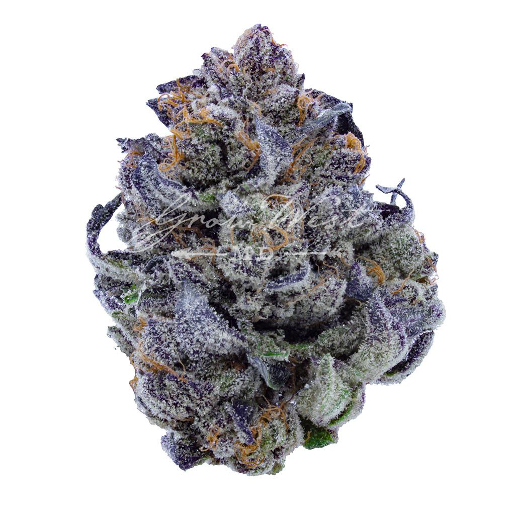 Pie Crust | Silver | Untrimmed | 3.5g
