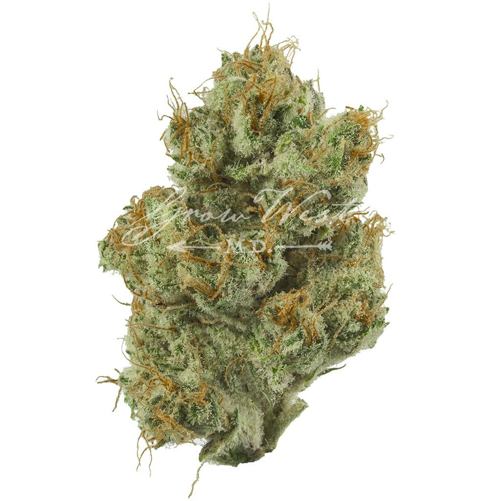 Shrieker | Premium | Hand-Trimmed | 3.5g