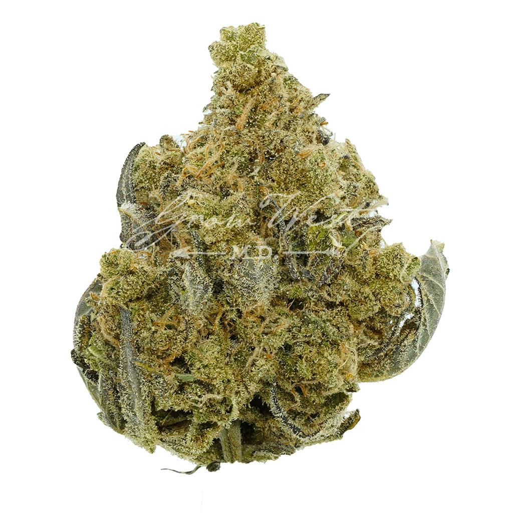 Blue Magoo | Silver | Untrimmed | 3.5g