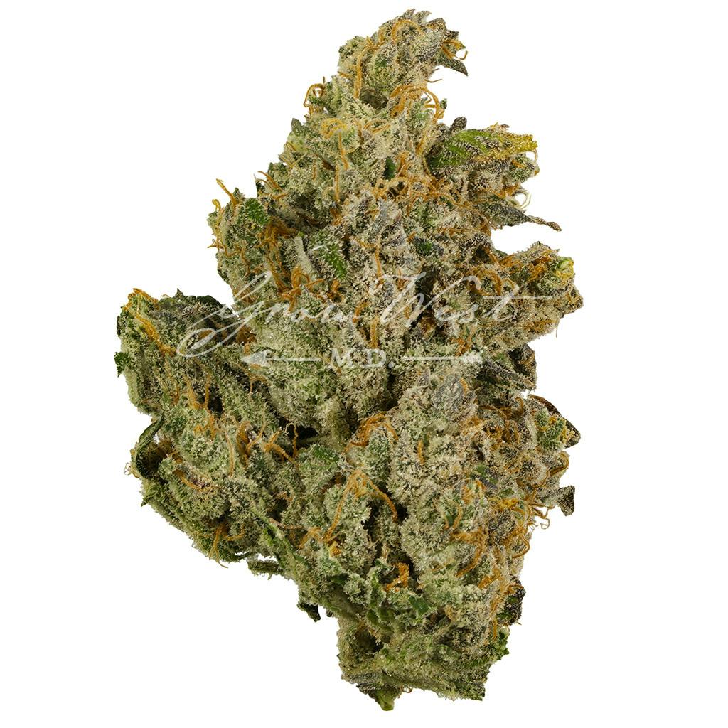 Bubblegum Cake | Gold | Trimmed | 3.5g
