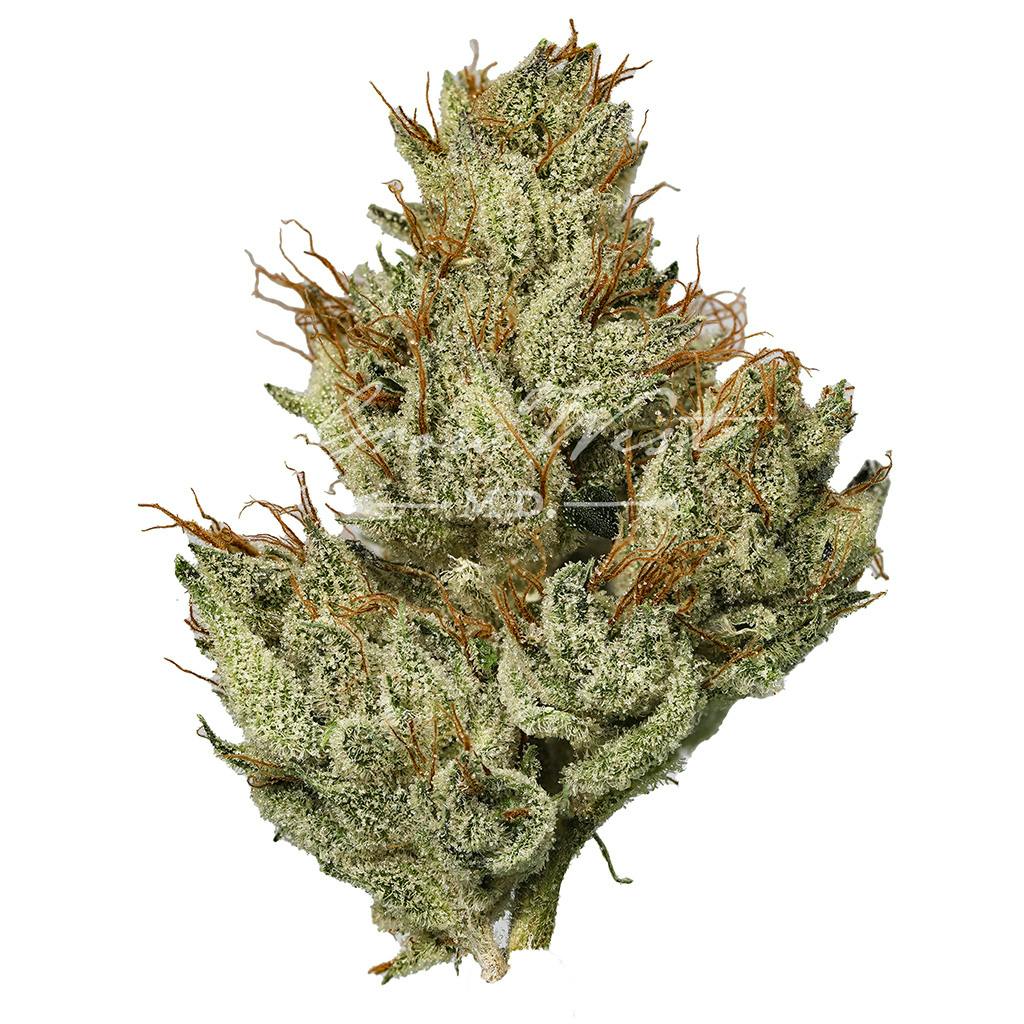 Chem 91 x Aliendawg Cherry | Gold | Trimmed | 3.5g