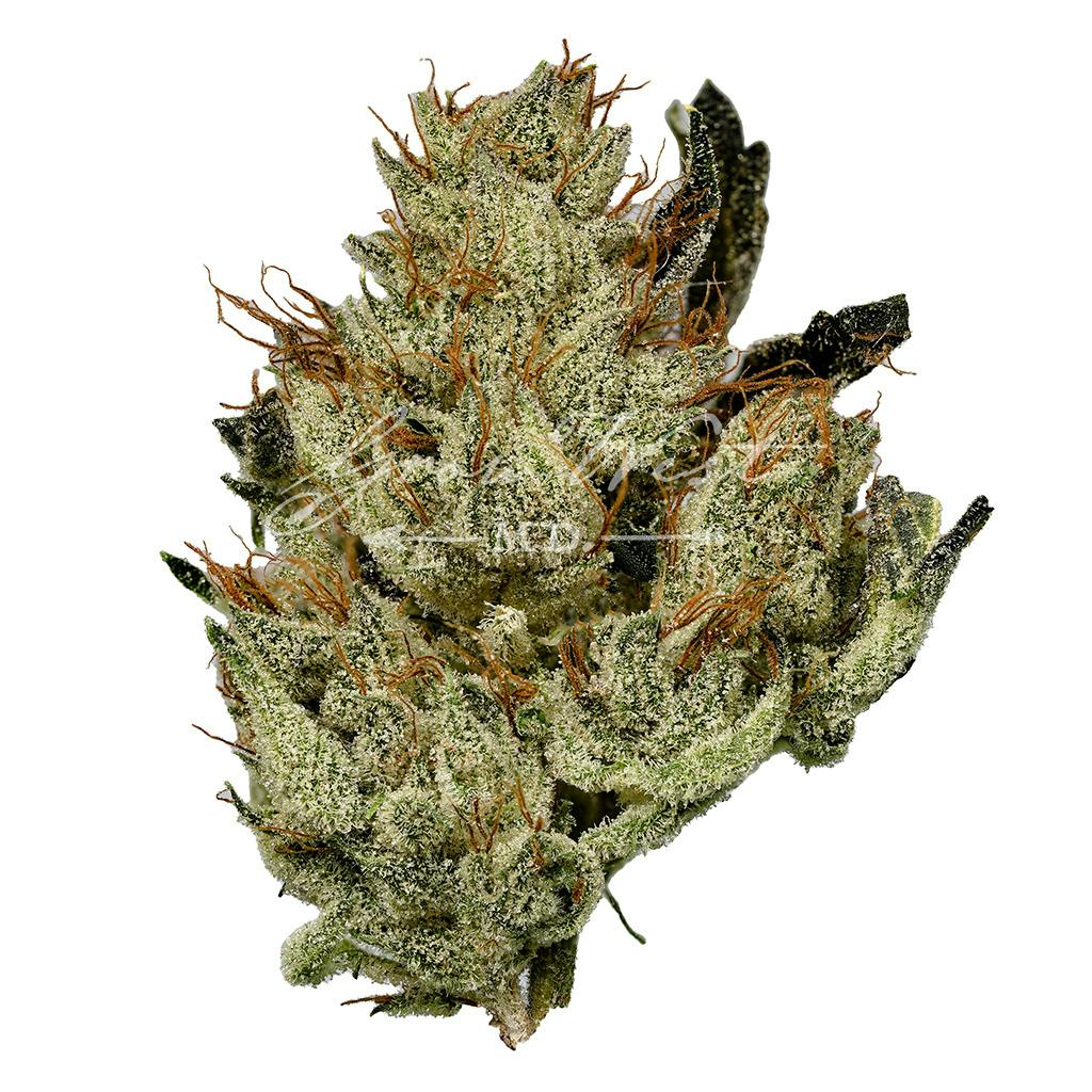 Chem 91 x Aliendawg Cherry | Silver | Untrimmed | 3.5g