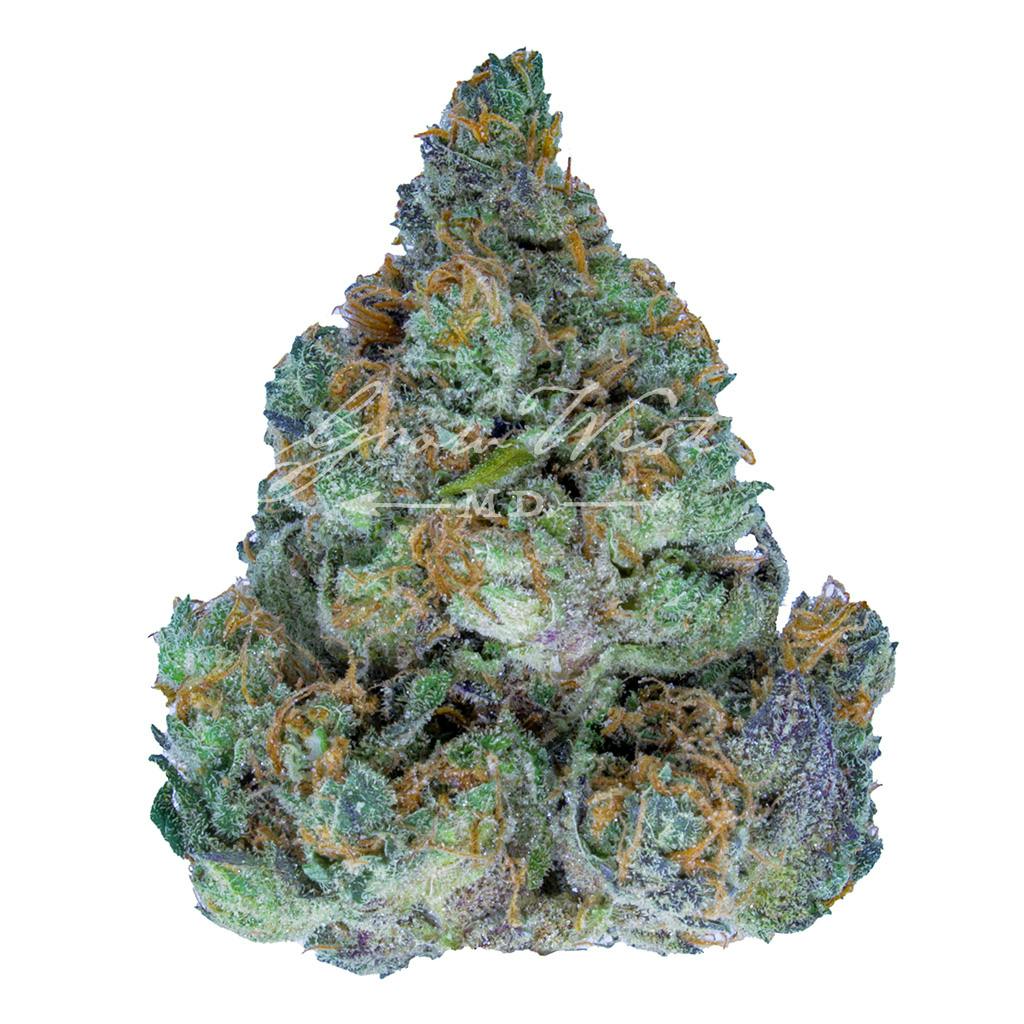 Cherry Chocolate Widow | Gold | Trimmed | 3.5g
