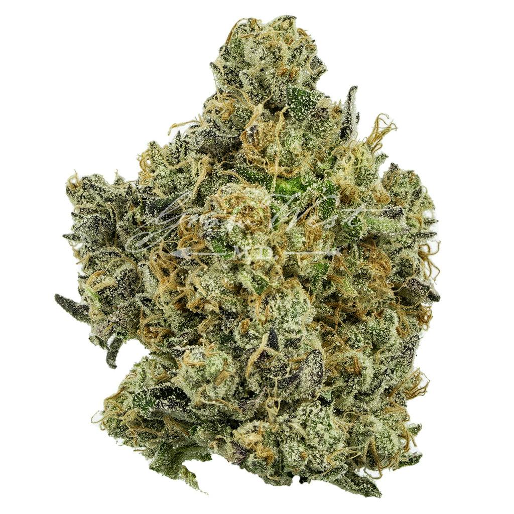 Electric Berry Bliss | Gold | Trimmed | 3.5g