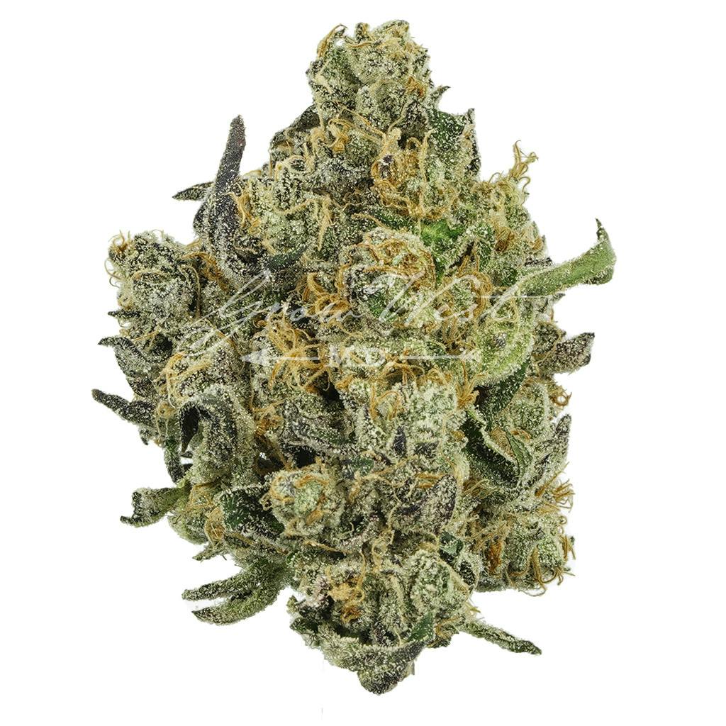 Electric Berry Bliss | Silver | Untrimmed | 3.5g